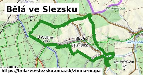 ikona Zimná mapa zimna-mapa v bela-ve-slezsku