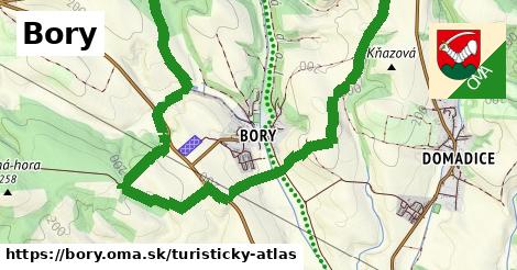 Bory