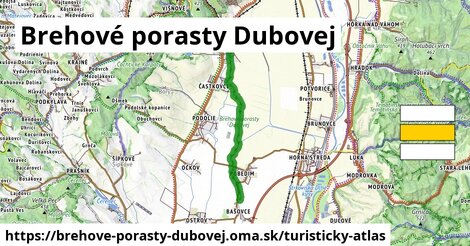 Brehové porasty Dubovej