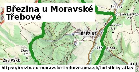 Březina u Moravské Třebové