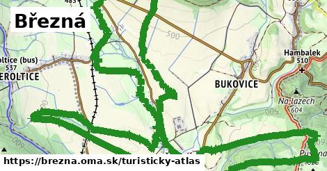 ikona Turistická mapa turisticky-atlas v brezna