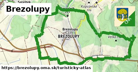 ikona Turistická mapa turisticky-atlas v brezolupy