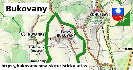 ikona Turistická mapa turisticky-atlas v bukovany