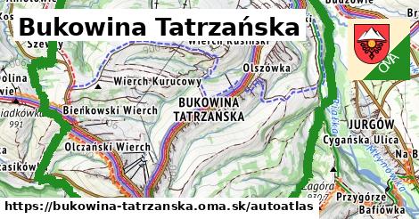 ikona Mapa autoatlas v bukowina-tatrzanska