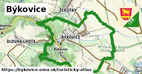 ikona Turistická mapa turisticky-atlas v bykovice