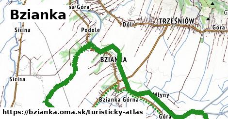 Bzianka