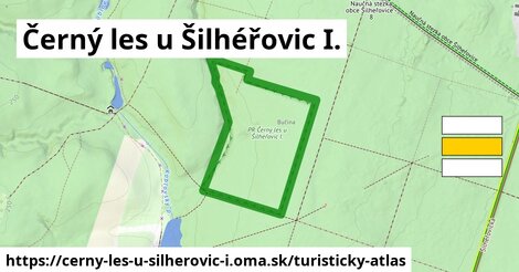 Černý les u Šilhéřovic I.