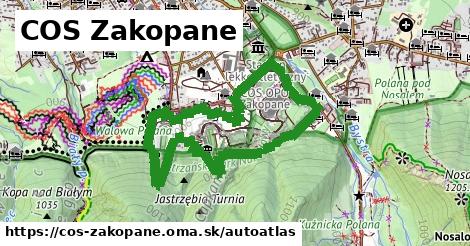 ikona Mapa autoatlas v cos-zakopane