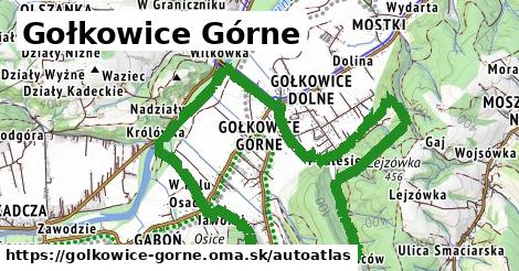 ikona Mapa autoatlas v golkowice-gorne