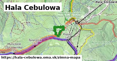 ikona Hala Cebulowa: 213 m trás zimna-mapa v hala-cebulowa