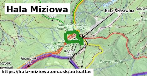 ikona Mapa autoatlas v hala-miziowa