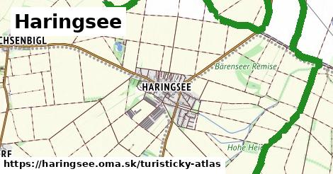 Haringsee