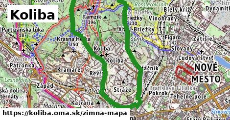 ikona Koliba: 483 m trás zimna-mapa v koliba