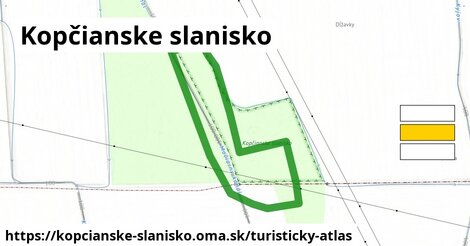 Kopčianske slanisko