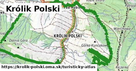 Królik Polski