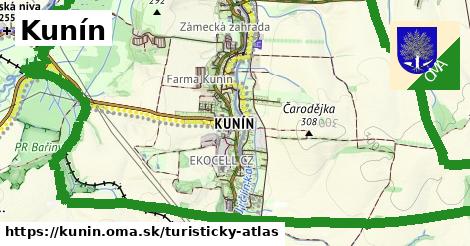 Kunín