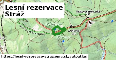 ulice v Lesní rezervace Stráž