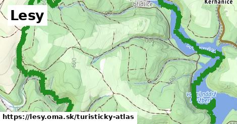 ikona Turistická mapa turisticky-atlas v lesy