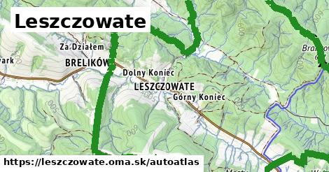 ikona Mapa autoatlas v leszczowate