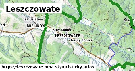 ikona Turistická mapa turisticky-atlas v leszczowate