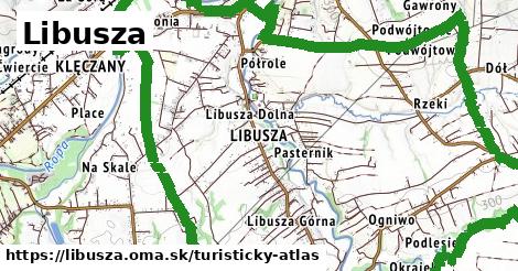 Libusza