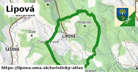 Lipová