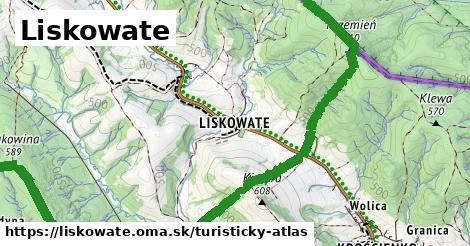ikona Turistická mapa turisticky-atlas v liskowate