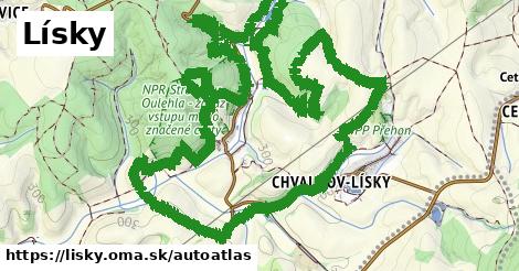 ikona Mapa autoatlas v lisky