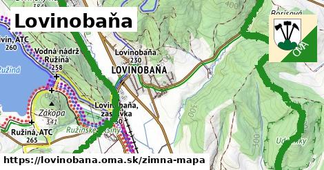 ikona Zimná mapa zimna-mapa v lovinobana
