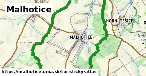 Malhotice