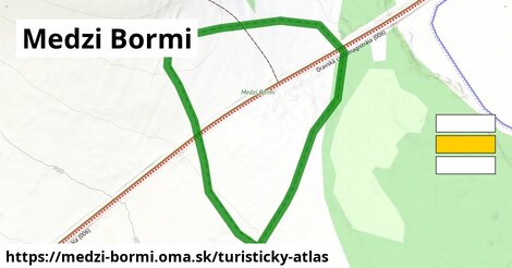 Medzi Bormi