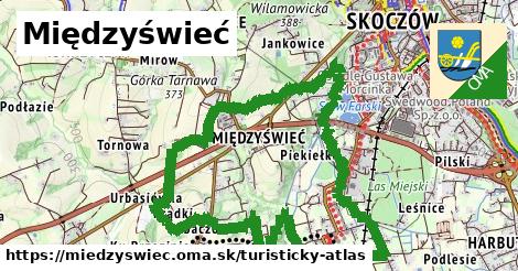 Międzyświeć