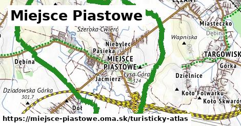 Miejsce Piastowe