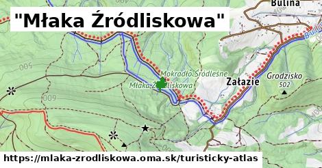 "Młaka Źródliskowa"