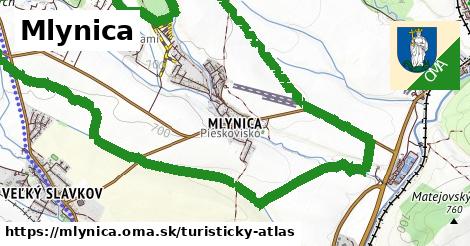 Mlynica