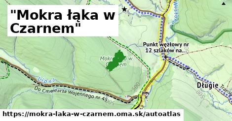 ikona Mapa autoatlas v mokra-laka-w-czarnem