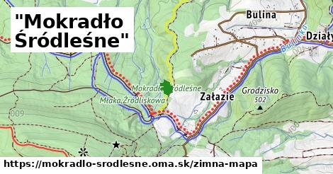 ikona Zimná mapa zimna-mapa v mokradlo-srodlesne