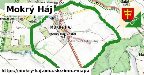 ikona Zimná mapa zimna-mapa v mokry-haj