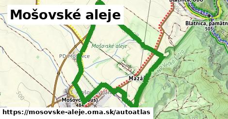 ulice v Mošovské aleje