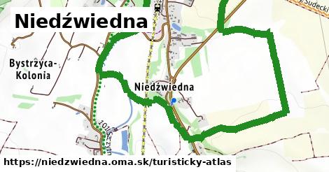 Niedźwiedna