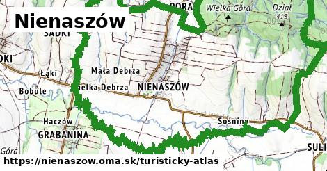 Nienaszów