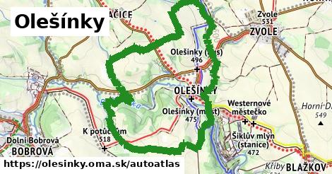 ulice v Olešínky