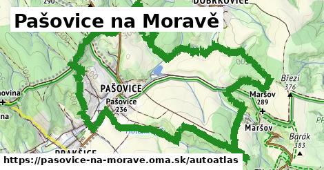 ulice v Pašovice na Moravě