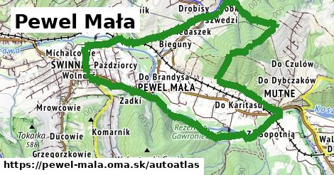 ikona Mapa autoatlas v pewel-mala