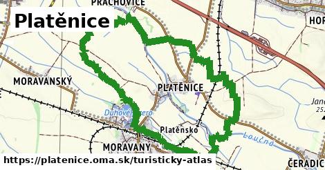 Platěnice