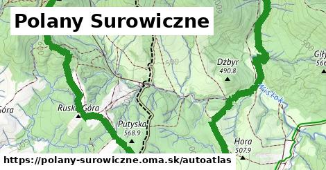 ikona Mapa autoatlas v polany-surowiczne