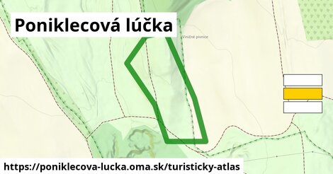 Poniklecová lúčka