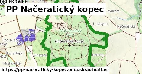 ikona Mapa autoatlas v pp-naceraticky-kopec