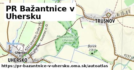 ikona Mapa autoatlas v pr-bazantnice-v-uhersku