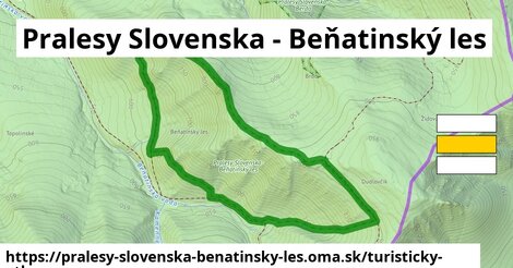Pralesy Slovenska - Beňatinský les